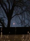 IMG_5492.jpeg