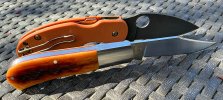 IMG_7695.jpeg