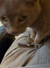 IMG_0355.jpeg