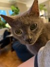 IMG_0344.jpeg