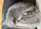 IMG_4978.jpeg
