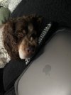 IMG_6795.jpeg
