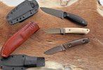 Carothers Sharp Lin.jpg Carothers Sharp Lin.jpg