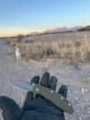 IMG_8286.jpeg