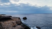 IMG_7862.jpeg