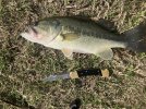 IMG_0474.jpeg
