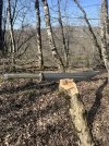 IMG_8215.jpeg