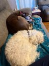 IMG_4063.jpeg