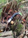 IMG_6182.jpeg