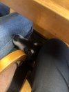 IMG_8120.jpeg