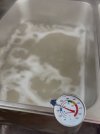 IMG_6718.jpeg