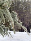 IMG_6701.jpeg