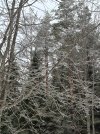 IMG_6700.jpeg
