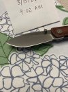 IMG_0710.jpeg