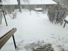 20260315_085812.jpg