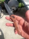IMG_5870.jpeg
