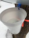 IMG_6782.jpeg