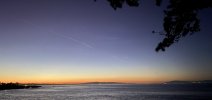IMG_1313.jpeg