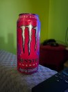 IMG_0217.jpeg