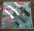 2026-03-17 St. Paddys CASE62009 GEC86 Victorinox Alox Bantam.JPG