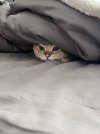 IMG_7922.jpeg