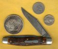 Buffalo coins 1.jpg