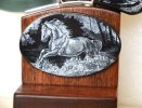 Wild Horse 6.JPG