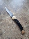 buck5501.jpg