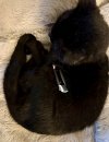 IMG_4499.jpeg