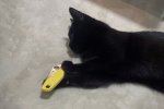 IMG_0813.jpeg