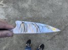 IMG_1386.jpeg IMG_1386.jpeg