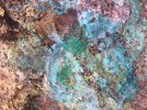 IMG_1683.jpeg