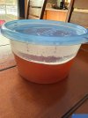 IMG_6858.jpeg