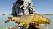 SBB_0291 copy.jpeg