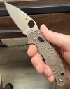 IMG_3741.jpeg