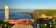 IMG_8307.jpeg