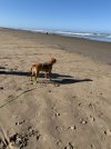 IMG_8266.jpeg