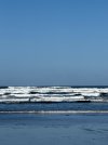 IMG_8272.jpeg