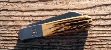 KIMG1325~2.JPG