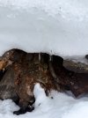 IMG_6945.jpeg
