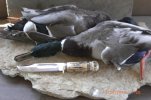 Stifle Ideal 6 with Ducks.jpg