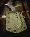 SnakeSkin1.jpg