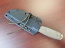 esee.jpg