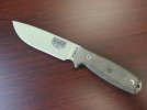 esee4.jpg