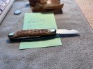 IMG_2852.jpeg