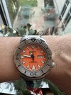 IMG_1428.jpeg