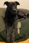 IMG_1904.jpeg