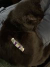 IMG_0298.jpeg