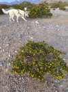 IMG_8493.jpeg IMG_8493.jpeg