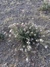 IMG_8496.jpeg